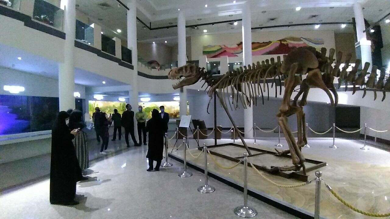 حديقة متحف علوم الأرض في مشهد