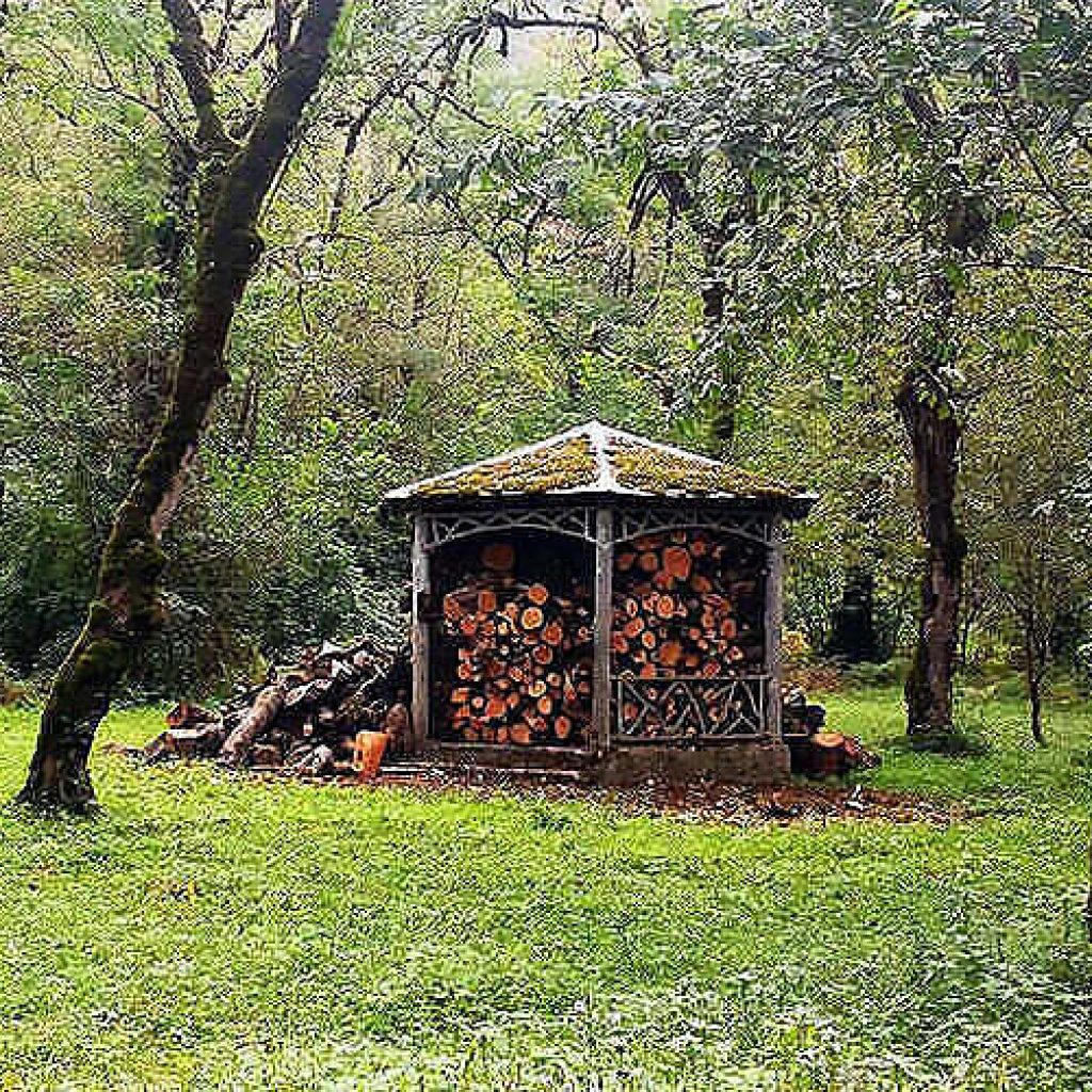 حديقة غابة چالدره في إيران