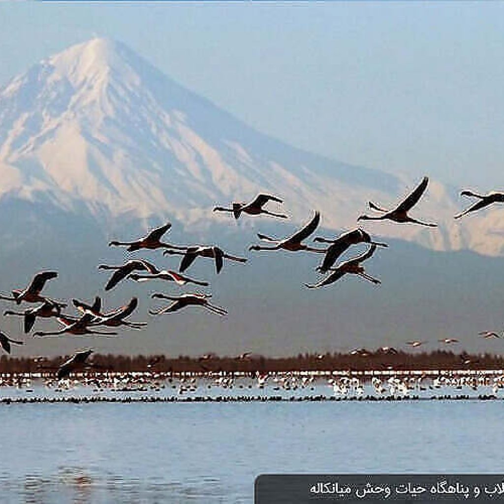 بحيرة ميانكاله في إيران