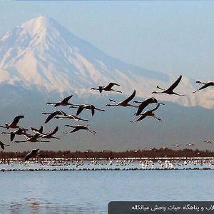 بحيرة ميانكاله في إيران