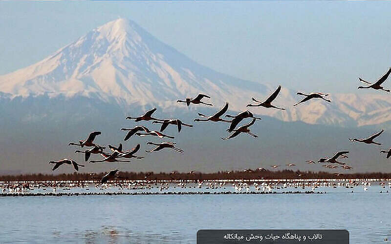 بحيرة ميانكاله في إيران