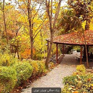 منتزه غابة لويزان في طهران