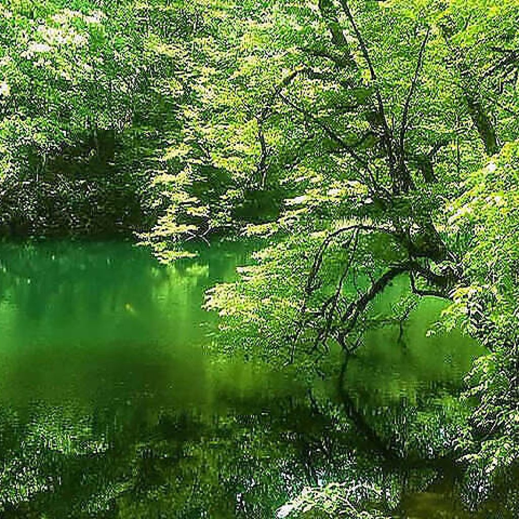 حديقة غابة خانیکان في نوشهر