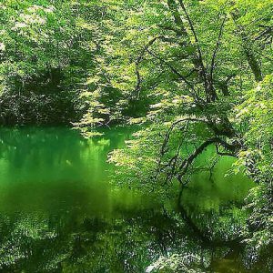 حديقة غابة خانیکان في نوشهر