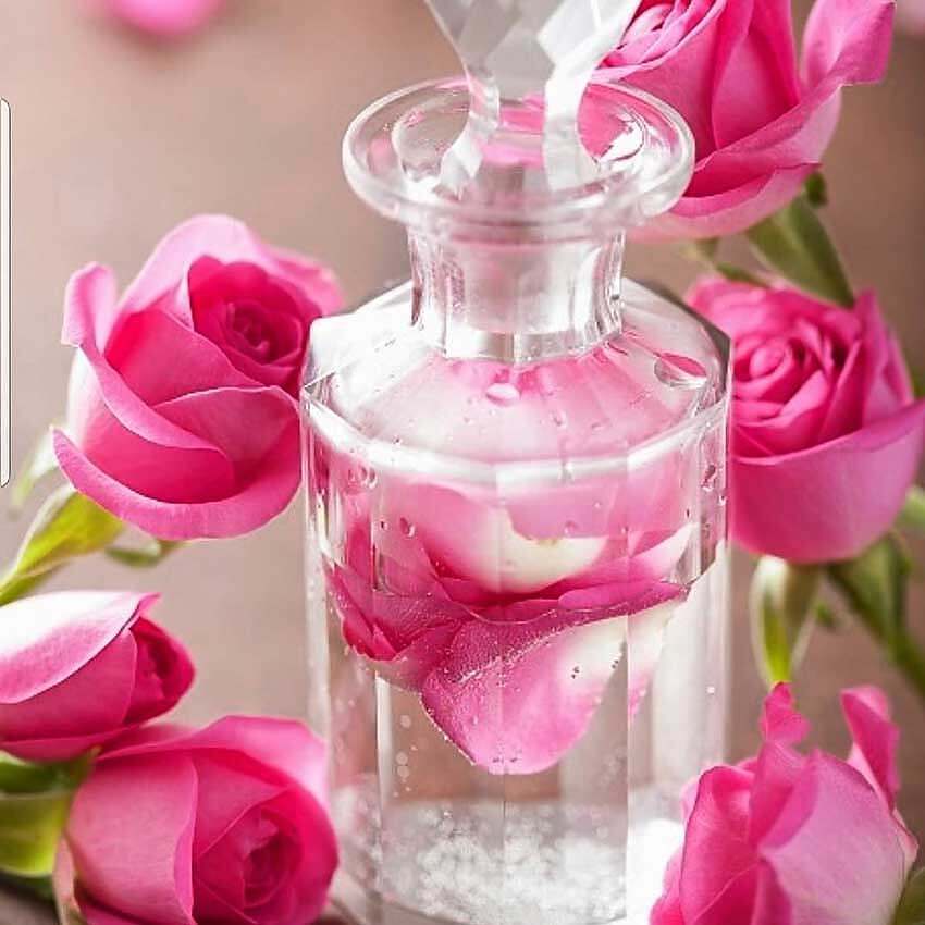 گلاب میمند