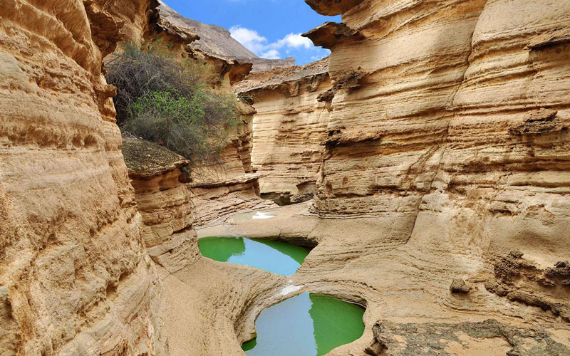 Shiraz to Qeshm Island