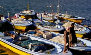 Guide to Kish Island’s Recreational Boats: Introduction and Access