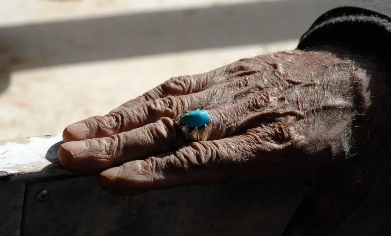 Nishapur Turquoise