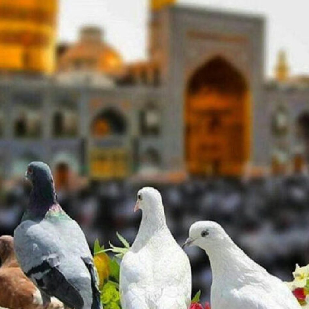 كيفية السفر من تبريز إلى مشهد