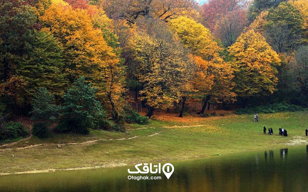 ناهارخوران جنگلهای انبوهی اطراف خود دارد
