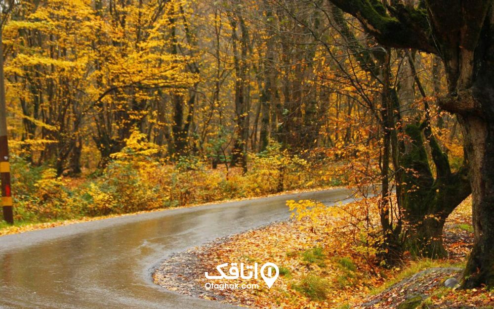 جنگل النگدره بسیار بکرتر از جنگلهای اطراف ناهارخوران است و رودخانهای خروشان به نام قلاشی دارد.