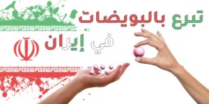 التبرع بالبويضات والنطاف في إيران: دليل شامل