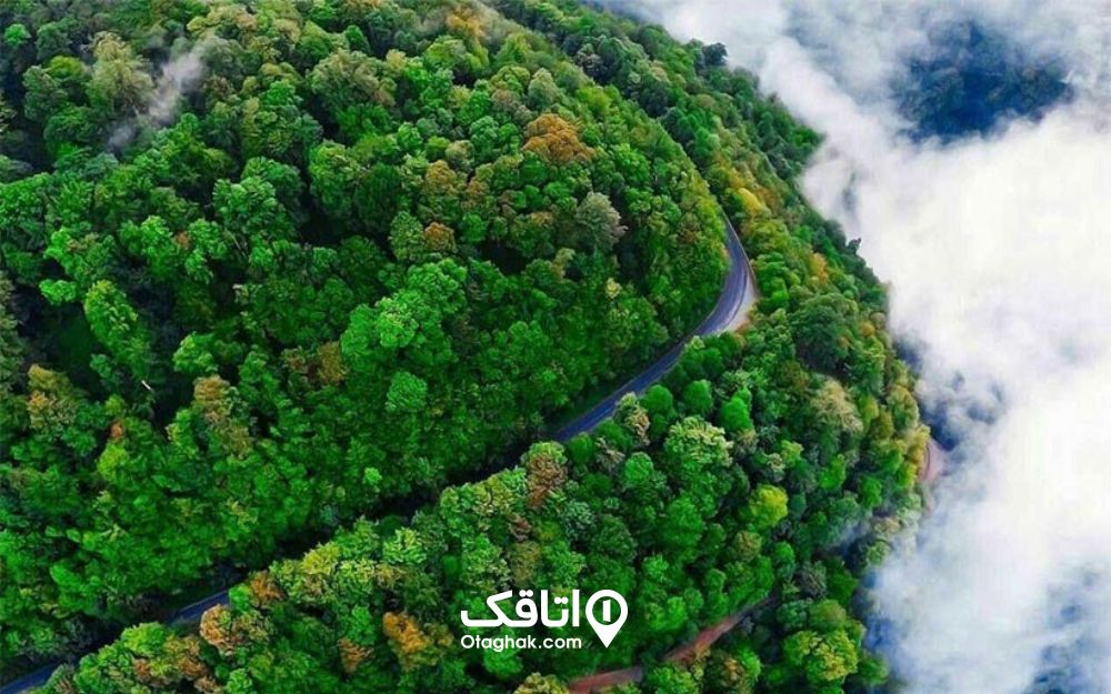 در جاده اسالم به خلخال درختان بلندقامت از دو طرف جاده به یکدیگر پیوسته و تونلی سبز رنگ تشکیلدادهاند