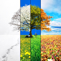 Best Time to Visit Iran: A Comprehensive Climate Guide by Hamintour