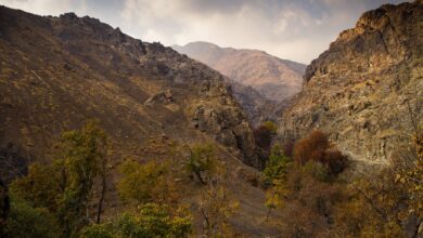 Exploring Serene Darakeh: Tehran’s Picturesque Mountain Retreat