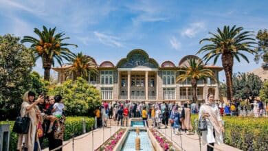 Ultimate Eram Garden Travel Guide: Shiraz’s Persian Paradise