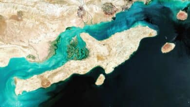 Discover Qeshm Island: A Persian Gulf Paradise