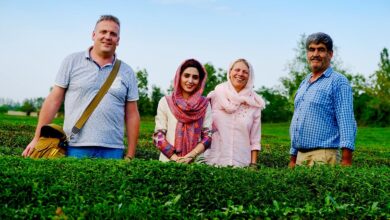 Unveiling Iran's Tea Legacy: A Northern Escape to Lahijan
