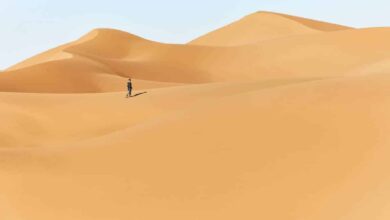 Tehran’s Nearby Deserts: Escape to Endless Sands and Starlit Skies