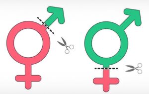 Gender Affirmation Surgery in Iran: Hamintour’s Guide