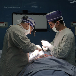 Why Choose Iran for Premier Medical and Cosmetic Treatments
