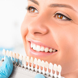 5 Essential Facts About Dental Veneers with Hamintour