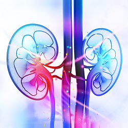 13 Critical Facts About Kidney Disease You Need to Know
