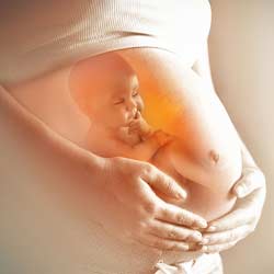 Pregnancy After Weight Loss Surgery with hamintour: A Comprehensive Guide