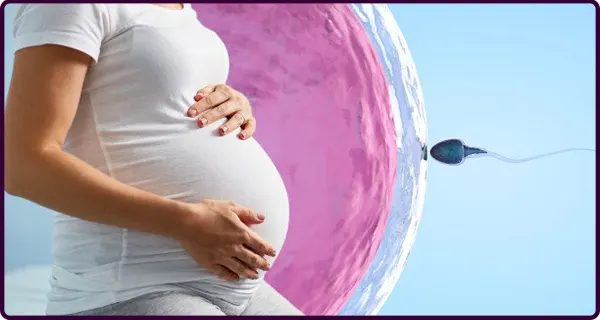 How to Prepare For an IVF Cycle: What Are the Required Tests
