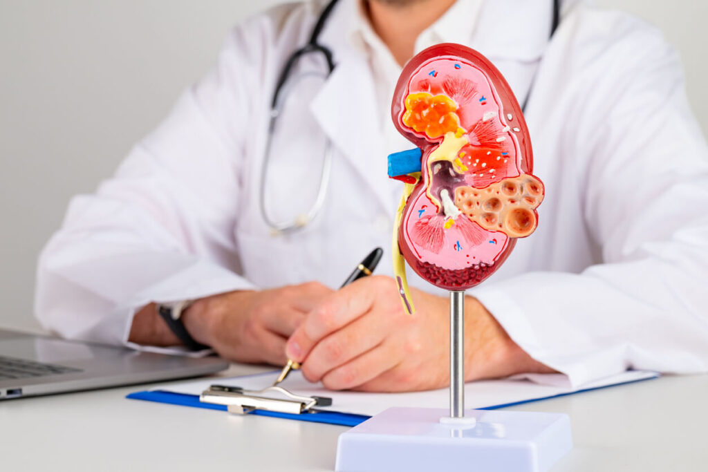 Top Nephrologists in Iran for Kidney and Renal Health