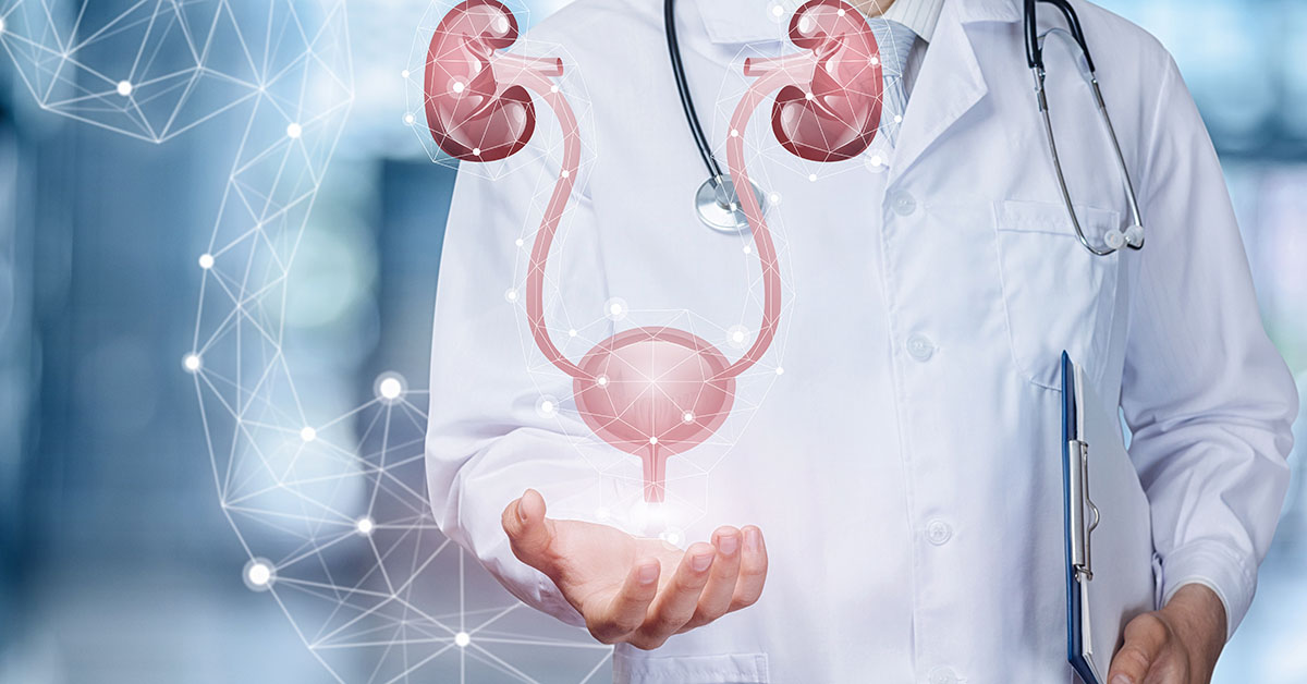 Top Urology Doctors for Kidney and Urinary Tract Surgery in Iran