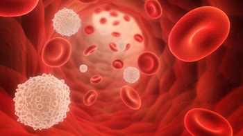 Leukemia Treatment
