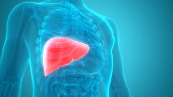 Comprehensive Guide to Liver Cancer Treatment in Iran: Precision and Hope