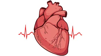 Aortic Aneurysm Surgery in Iran: Affordable and Expert Care