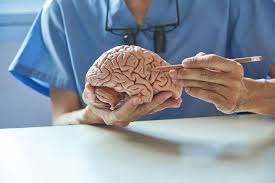 Iran's Premier Neurosurgeon and Top Neurosurgery Hospital: Precision Care in Tehran