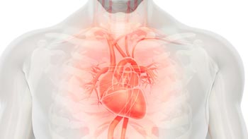 Heart Valve Surgery in Iran: Affordable and Expert Care