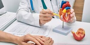 Leading Cardiovascular Centers in Shiraz, Iran