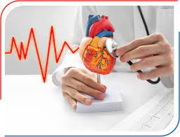 Best Cardiovascular Hospitals in Tehran