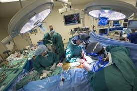 Top Organ Transplant Centers in Mashhad, Iran