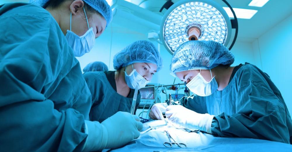 Best plastic surgeon in mashhad Iran