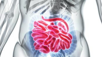 Comprehensive Guide to Small Bowel Surgery in Iran: Restoring Digestive Health