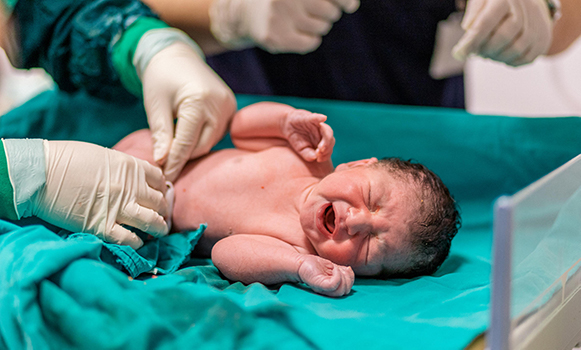 Premier Obstetrician and Gynecologist in Shiraz: Blossom into Maternal Radiance in Iran's Garden City