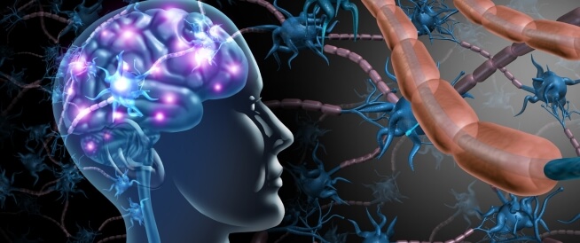 أسرار العصب الخامس: تحديد مكانه بدقة وكشف ألغاز ألمه النادر؟