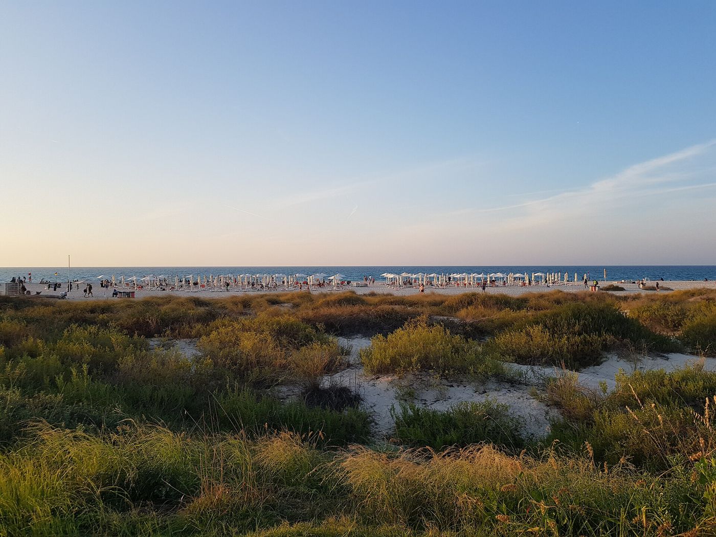 Natural dunes and shoreline on Saadiyat Island in Abu Dhabi