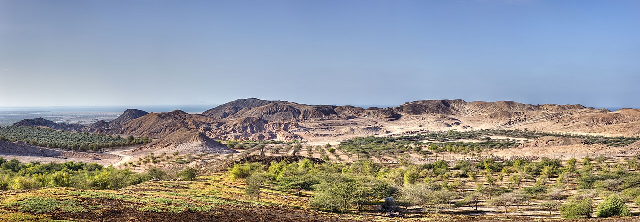 Panoramic view of Sir Bani Yas Island's hills and vegetation