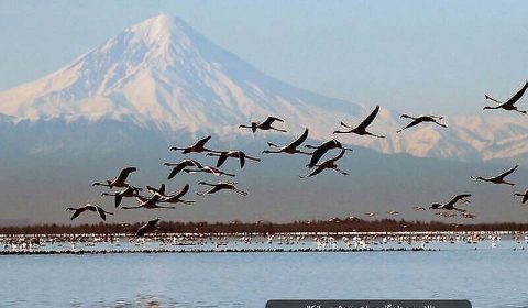 بحيرة ميانكاله في إيران