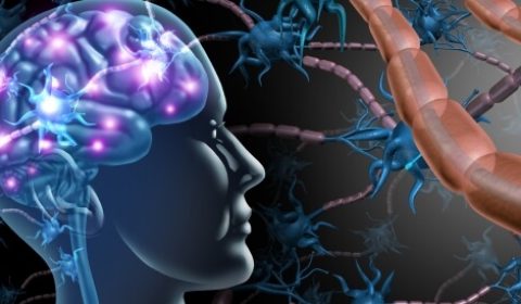 أسرار العصب الخامس: تحديد مكانه بدقة وكشف ألغاز ألمه النادر؟