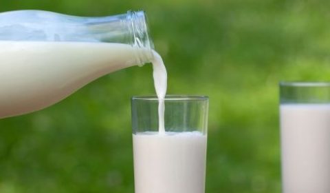الحليب الطازج: خيار صحي أم خطير؟