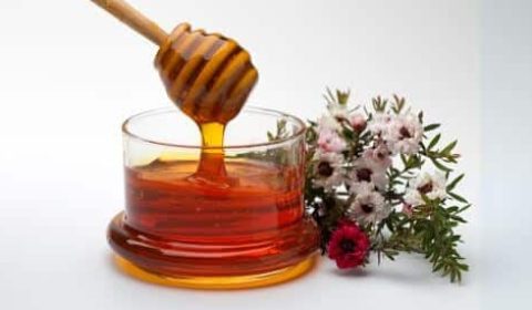 🍯 أمل جديد: دراسات حول فوائد عسل المانوكا في مكافحة سرطان الثدي
