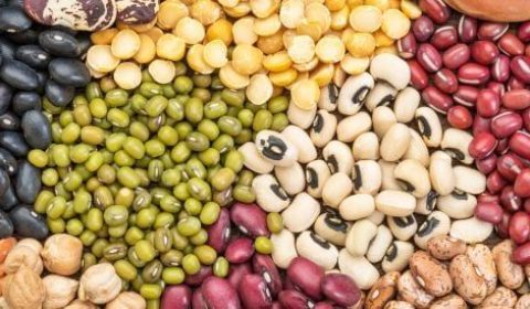 🌿 قوة البقوليات: غذاء الطبيعة المثالي لصحتك واستدامة الأرض